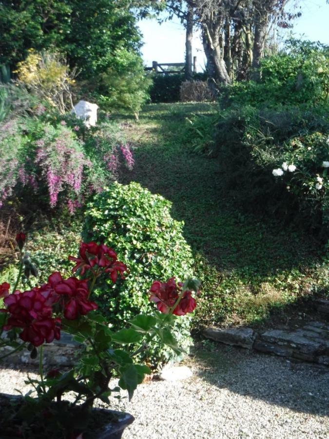 Bed & Breakfast La Carbonniere