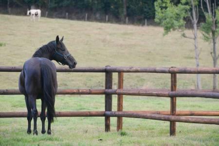 Bed & Breakfast La Carbonniere *